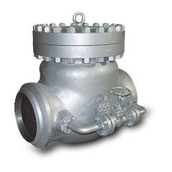 Check Valve
