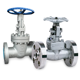 Gate Valve