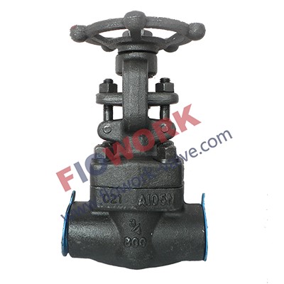 API Forged Steel Gate Valve