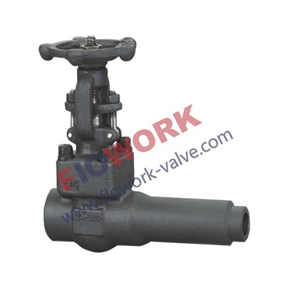 API602 Forged Gate Valve