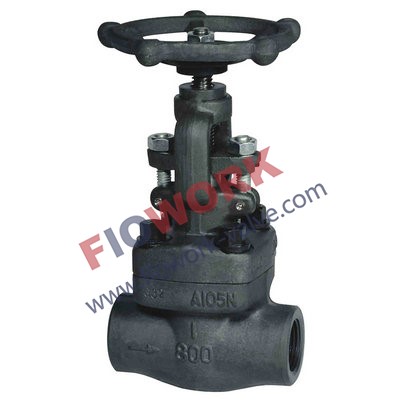 API602 Forged Globe Valve