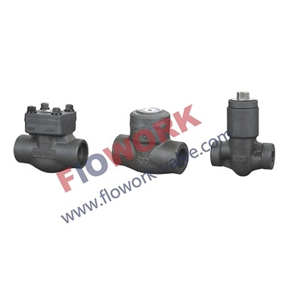 API602 Forged Steel check Valve