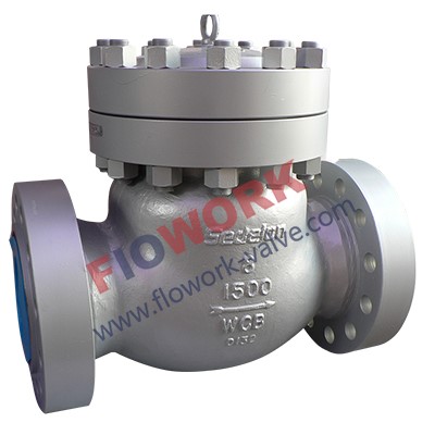 check valve