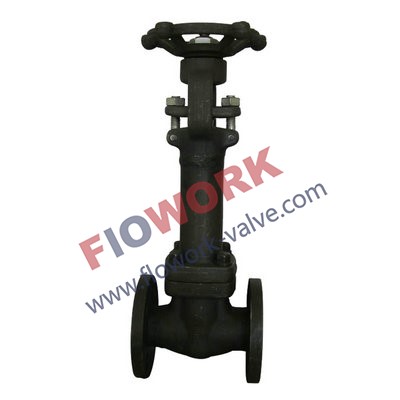 Flanged End Forged Globe Valve