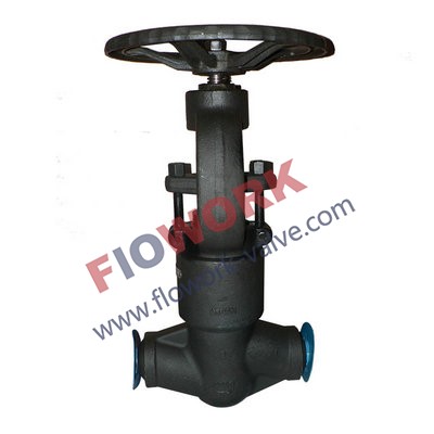 Forged steel globe valves