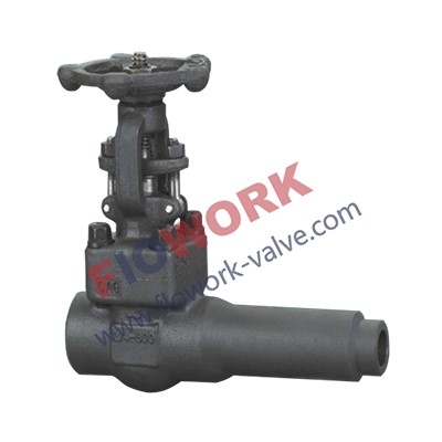 Socket Weld Forged Gate Valve