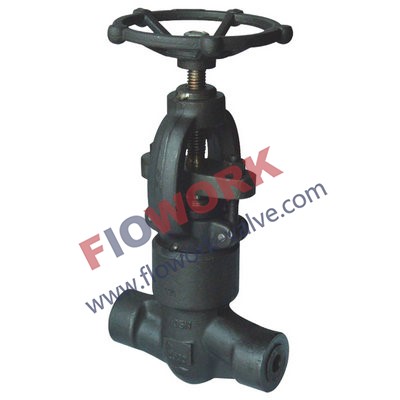 Socket Weld Forged Globe Valve