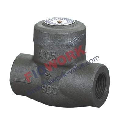 Socket weld check valve
