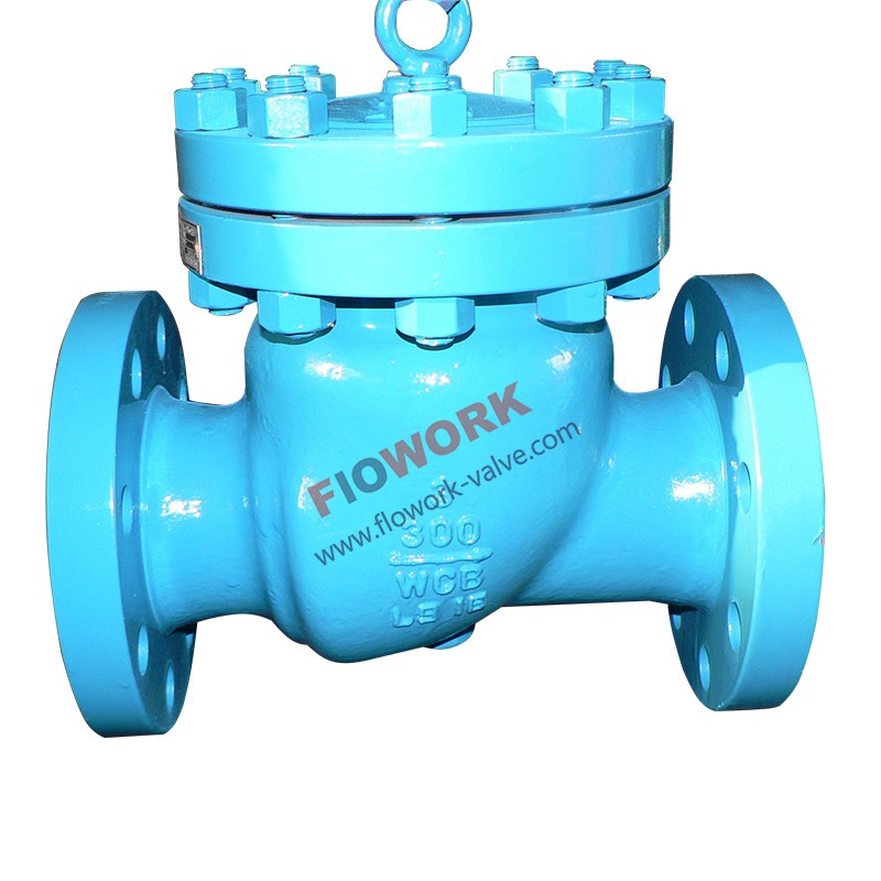 API 6D check valve