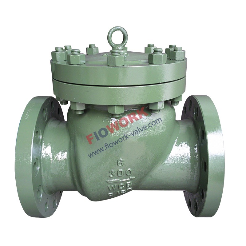 Non Return Valve