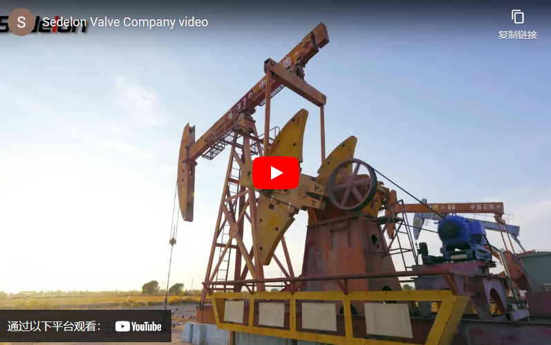 Sedelon Valve Company video